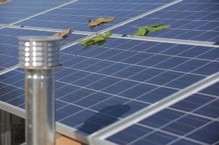 schaduw op zonnepanelen