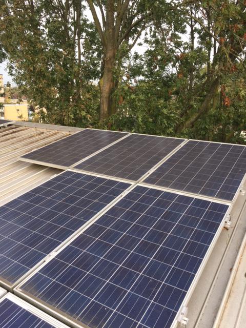 vieze panelen met bomen