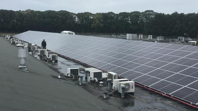 groot project zonnepanelen